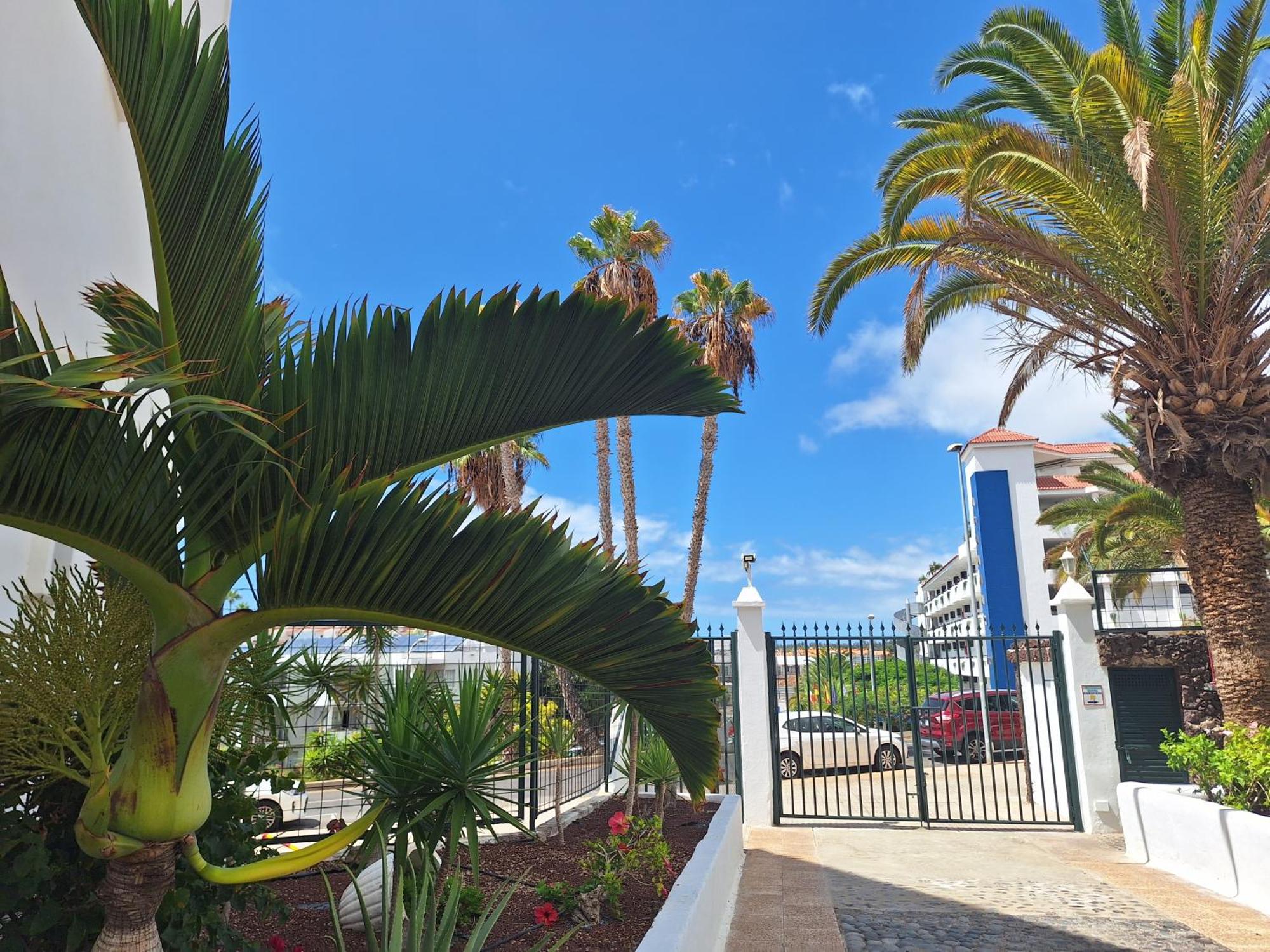 Parque Margarita, Terraza Vista Piscina Apartment ลอส กริสเตียนอส ภายนอก รูปภาพ